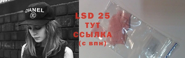 стаф Балахна