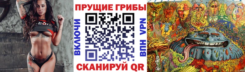 Галлюциногенные грибы Psilocybe  Старая Купавна 